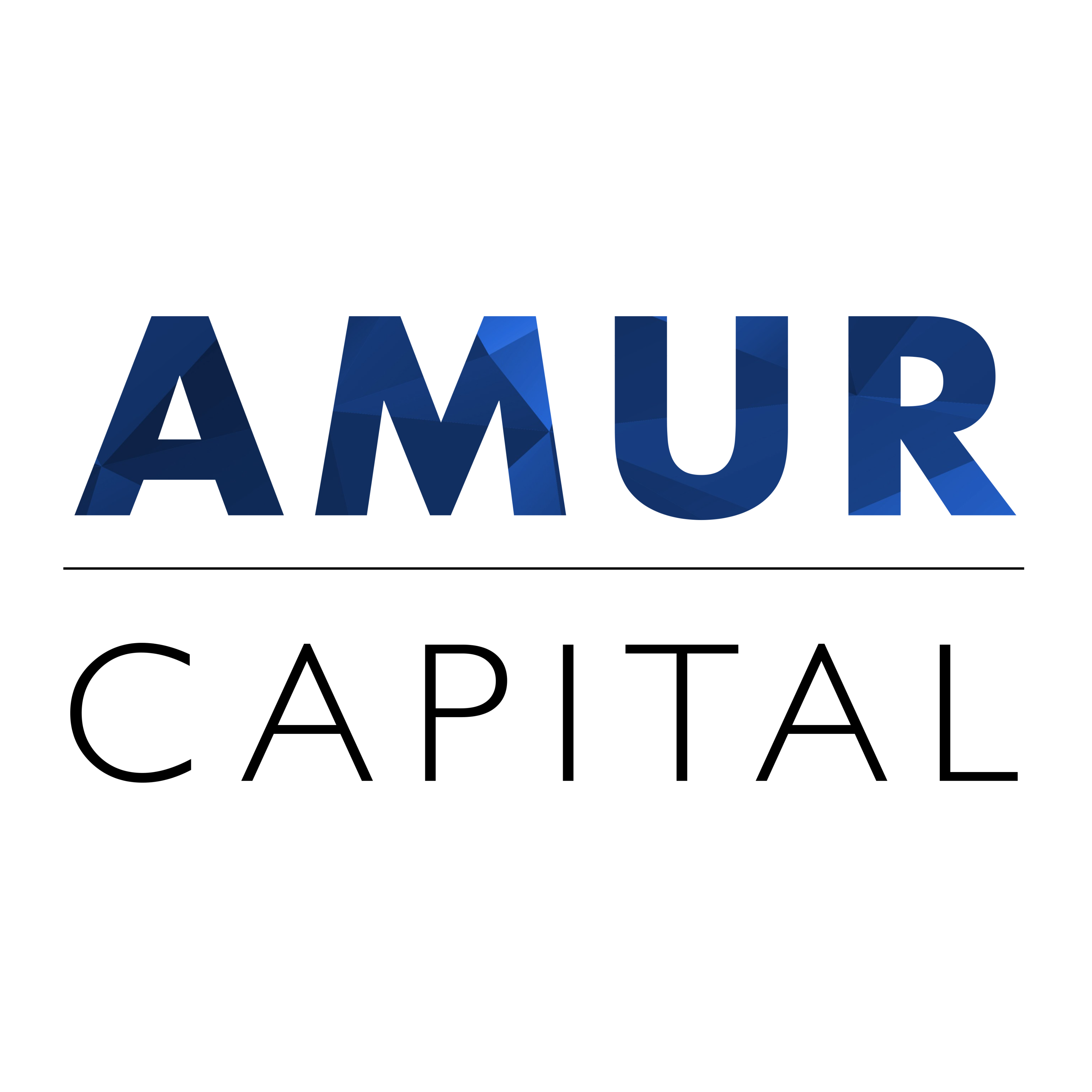 Amur Capital